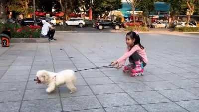 Tiny white dog pulling a girl on roller skates in Hanoi, Vietnam [OC]