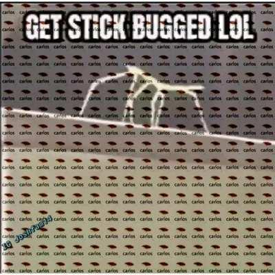 Get Stick Bugged LOL : stickbug