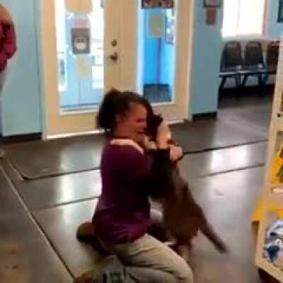 Reunion Between a Dog and Its Owner After 21 Days