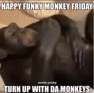 Funky monke