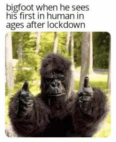 Bigfoot needs friends and social contact too