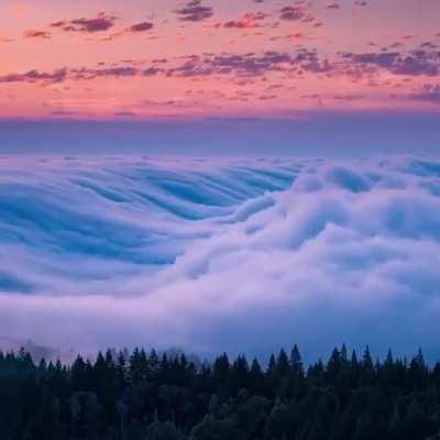 This time lapse of clouds rolling over Mount Tamalpais Nation Park