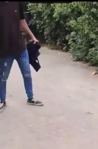 Import slaps a baby who's walking with their grandparents in a park!
