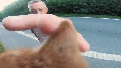 Biker saves a kitten stranded in the middle of the highway