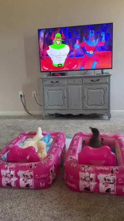 Goose and Mumble eating breakfast and watching SpongeBob 🩷 (OC)