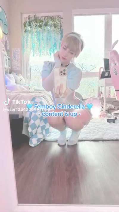 Femboy Cinderella 