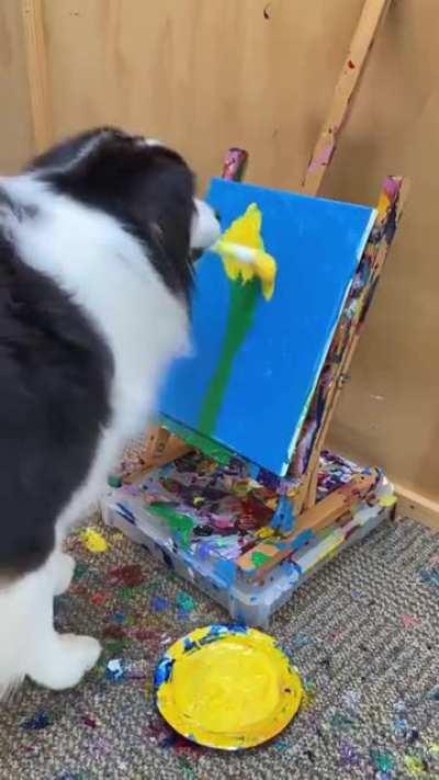 Dog tries his paw on painting