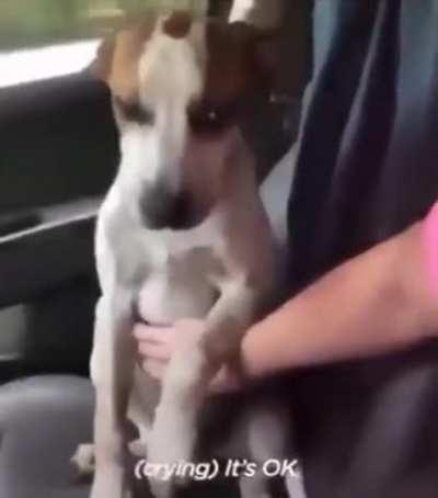 Woof irl