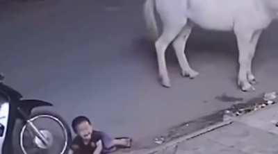 Slapping a horse