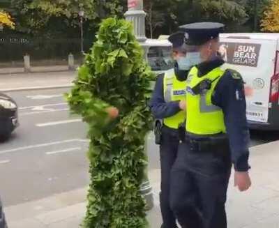 Polícia tomando susto para a a planta