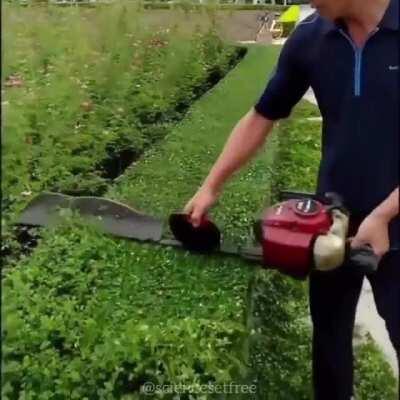 Hedge Fun very relaxing