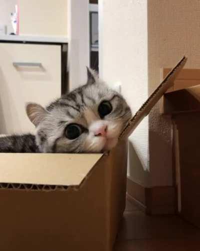 Your package has arrived