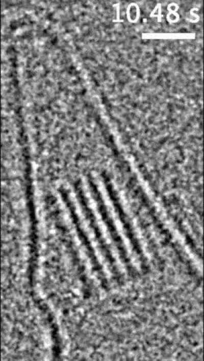 First-ever atomic resolution video of salt crystals forming in real time (nucleation)