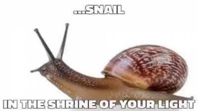 🙏🐌