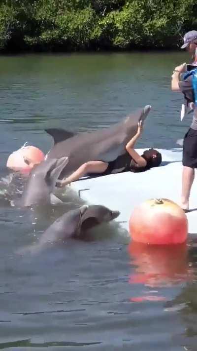 They say Dolphins are smarter than humans