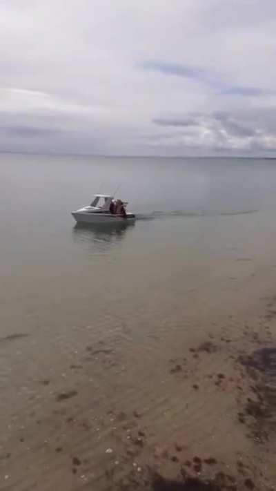 Dad builds a tiny boat from scratch for his son's 3rd birthday for the two of them to motor around the seaside of New Zealand