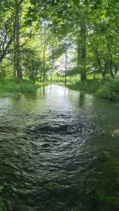 I walked to the source of the river Thames, I thought you would like to see it