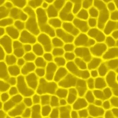 More loopable slime mold animations. Link for the code and an example notebook in the comments