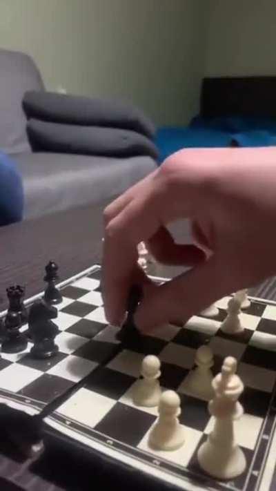 Just a normal game of chess : r/Unexpected
