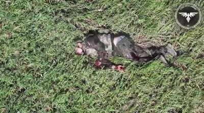 Slow Demise: The Lethal Effect of a Fragmentation Warhead Kamikaze Drone on a Russian Soldier (Graphic)