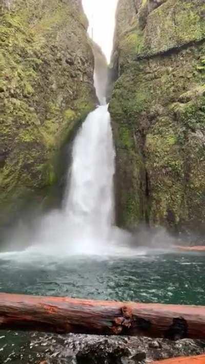 A beautiful hike at Wahclella Falls today