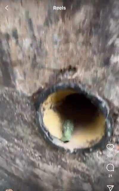 Fake air vent built into a bunker in Normandy. Grenade surprise!