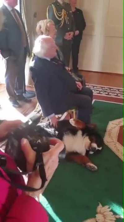 The president of Ireland always has his dog with him..