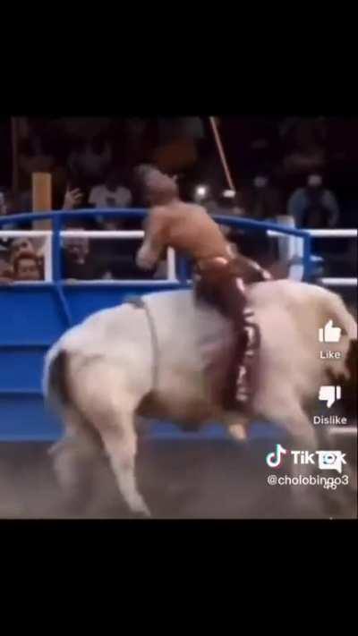 man vs bull