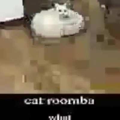 cat roomba