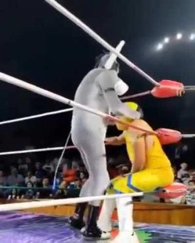 lucha libre