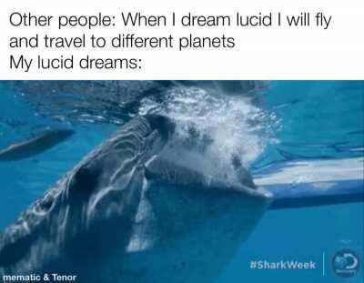 Wet dreams. Amirite