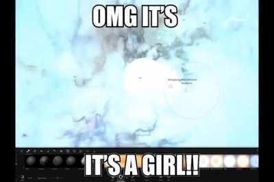 Generic_Gender_Reveal_Meme.mp4