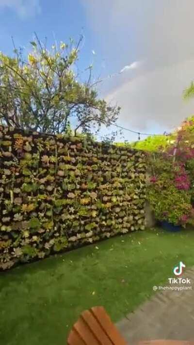 This Succulent Wall