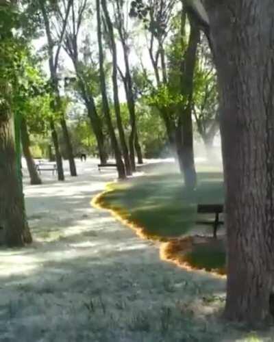 Poplar fluff burning