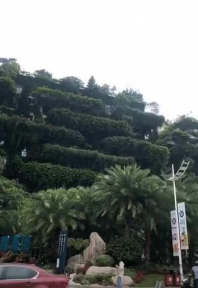 🔥 Mother nature completely took over these Vertical Forest apartments in China, turning them into an urban jungle.