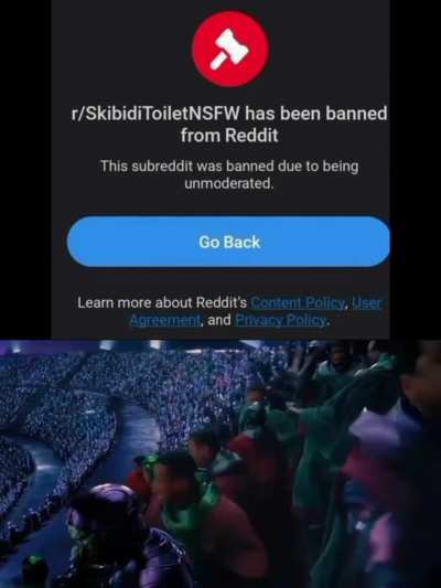 r/SkibidiToiletNSFW has been banned