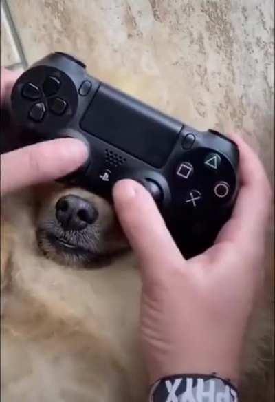 Cursed ps4 controller