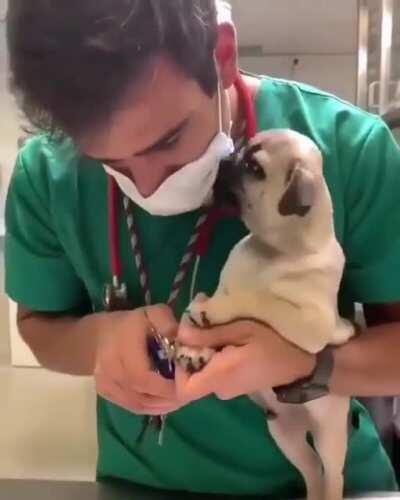 Vet having trouble focusing with an unruly patient