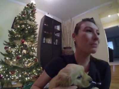 A guy surprised his wife with a golden retriever puppy for Christmas.