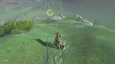 [BoTW] Totally nailed it