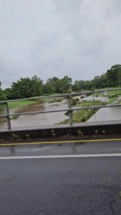 Kedron Brook looking a little damp.