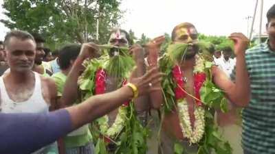 Cow Poop Festival in India