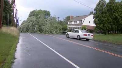 NBC CT crew captured this driver literally driving into a downed tree (no audio)