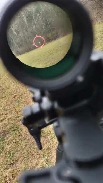 eotech with sig juliet 3x micro on a 10.5 556 shooting a half silohette at 300 yards