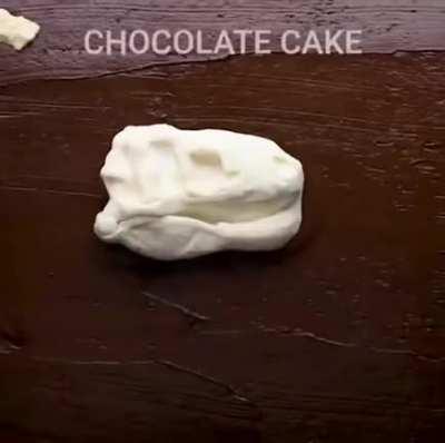 Chocolate cake with with buried white chocolate fossils. Find your fossil and EAT it.