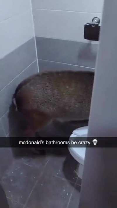 You never know with McDonalds bathrooms