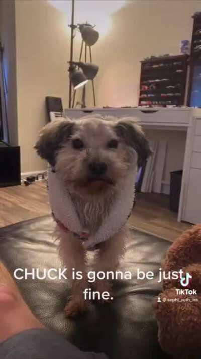 Chuck is going to be just fine.