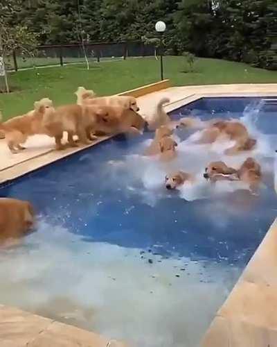 A pool full of gold