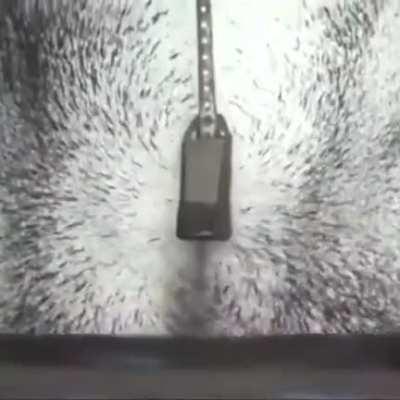 Magnetic field in action