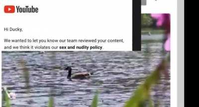 after 5 years a nine second video of a duck gave me a community guidelines strike..